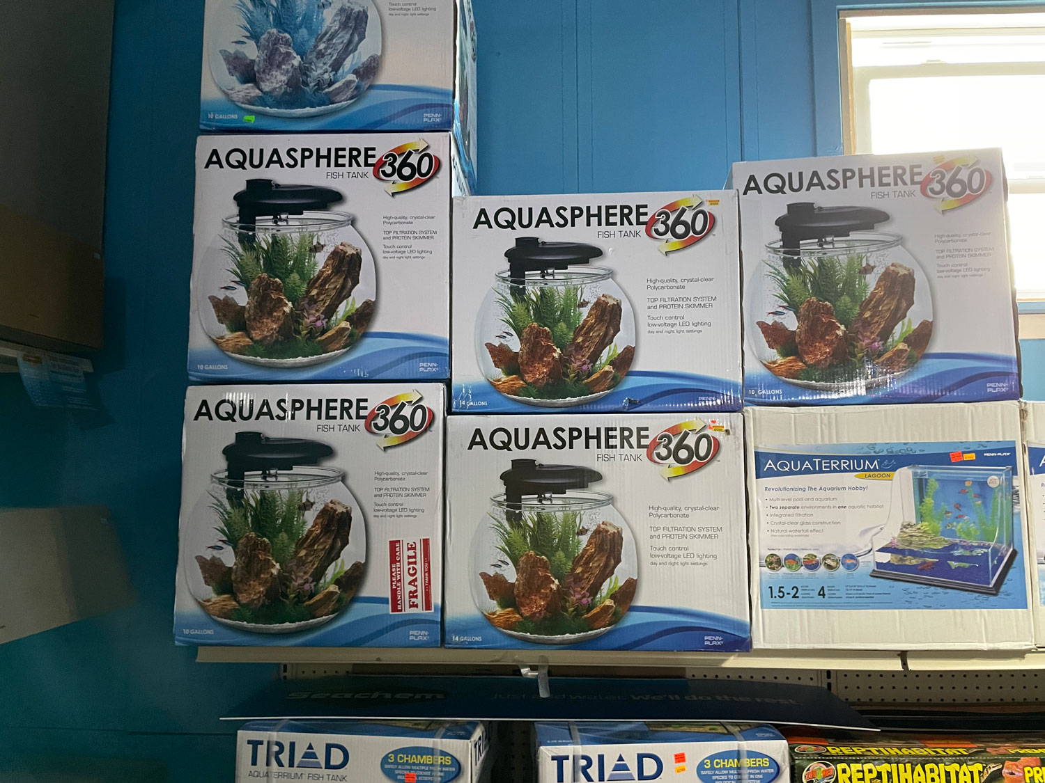 Aquasphere Fish Tank